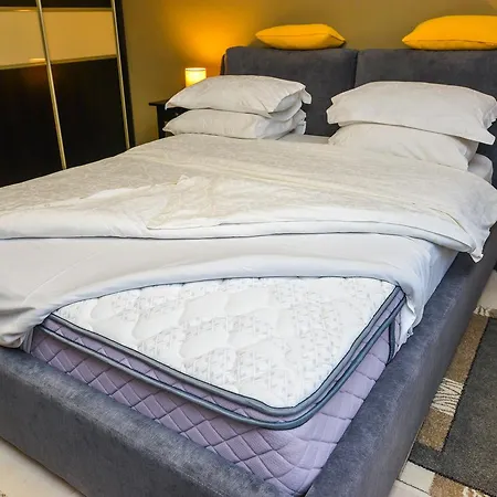 Apartament Romana Lahovary *